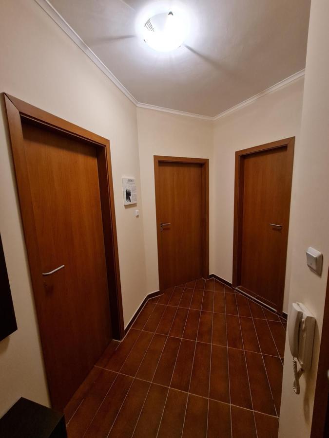 Bansko Vibes Apartments - Flora Boutique Zewnętrze zdjęcie